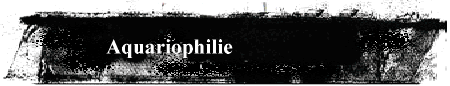 Aquariophilie