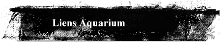 Liens Aquarium